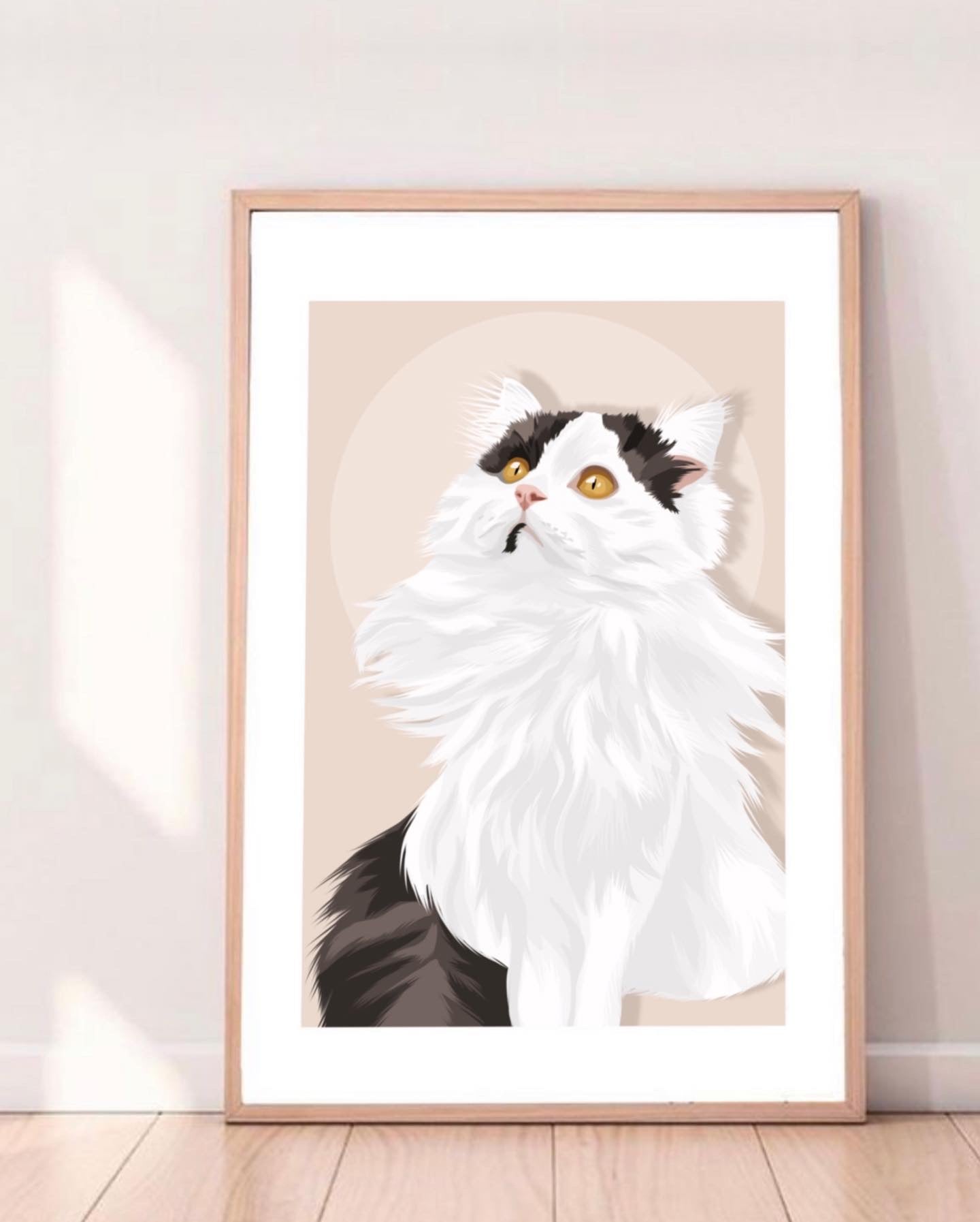 Custom Illustrations - Animals