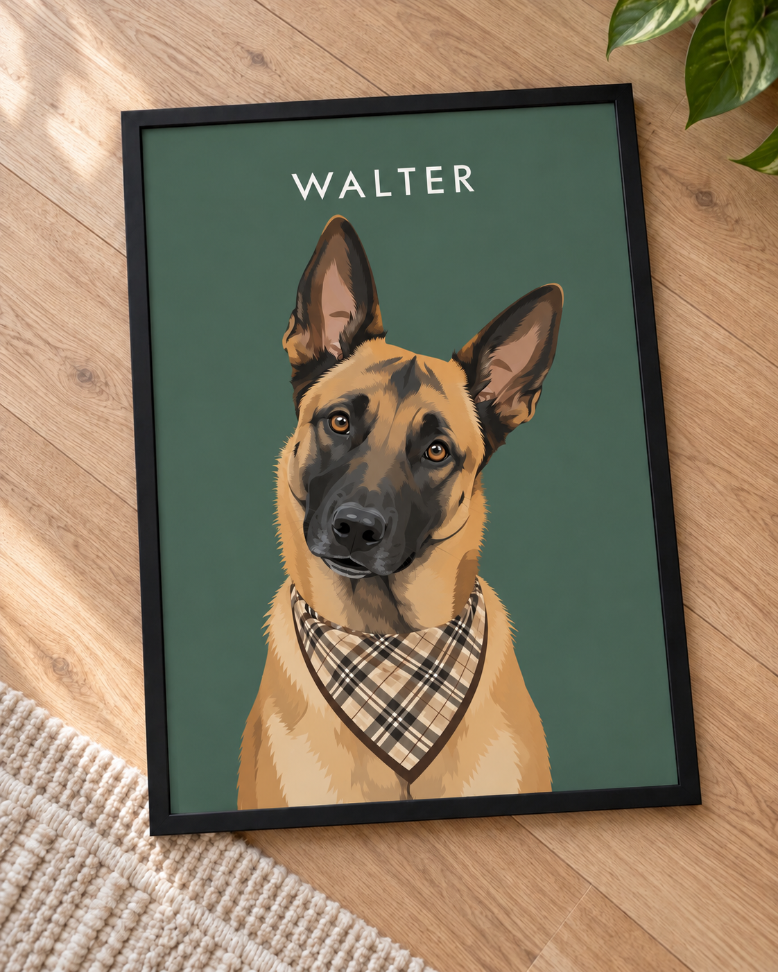 Custom Illustrations - Animals
